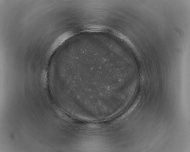 X0000113551362200910161425