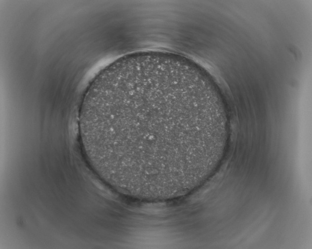 X0000113551363200910161425
