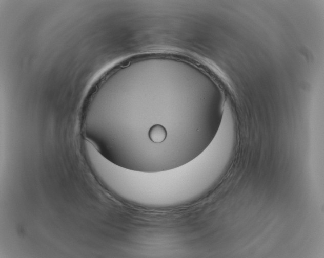 X0000113551364200910161425