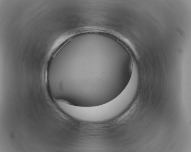 X0000113551365200910161425