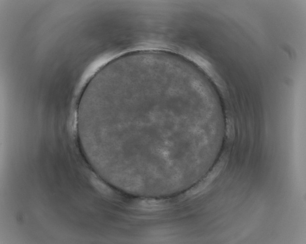 X0000113551366200910161425