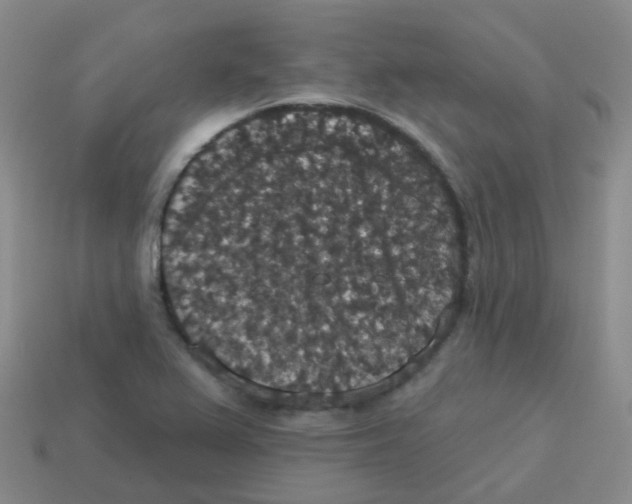 X0000113551367200910161425