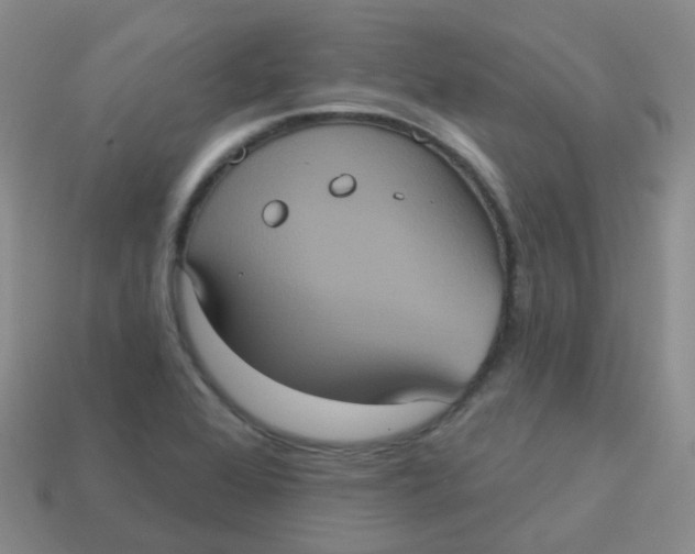 X0000113551368200910161425