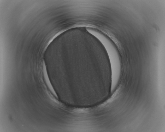 X0000113551369200910161425