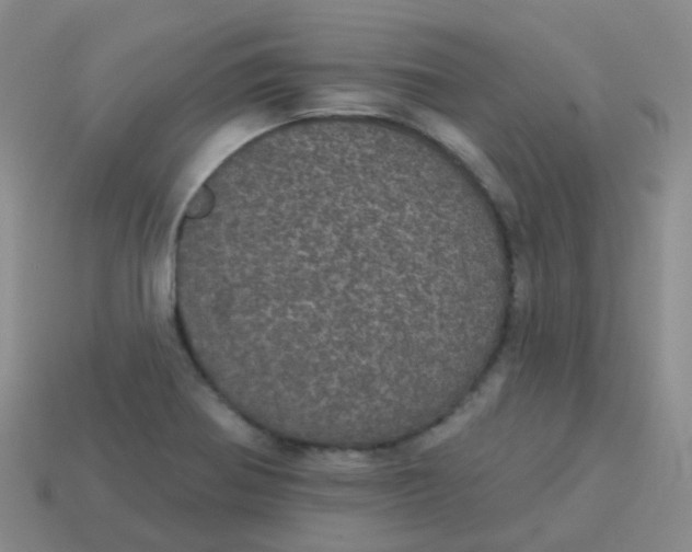 X0000113551370200910161425