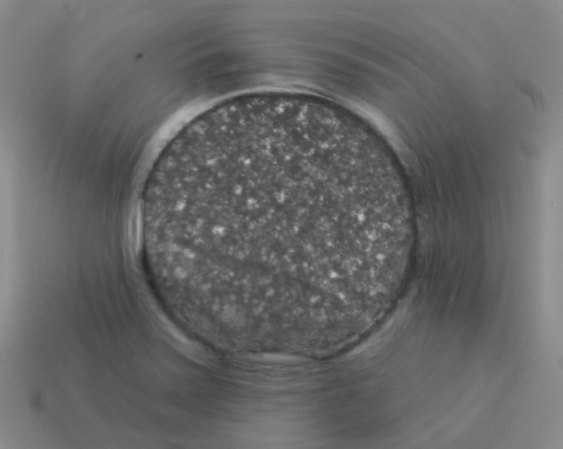 X0000113551371200910161425