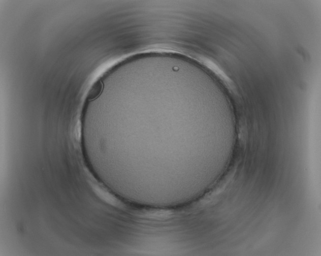 X0000113551372200910161425