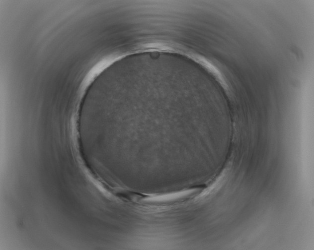 X0000113551373200910161425