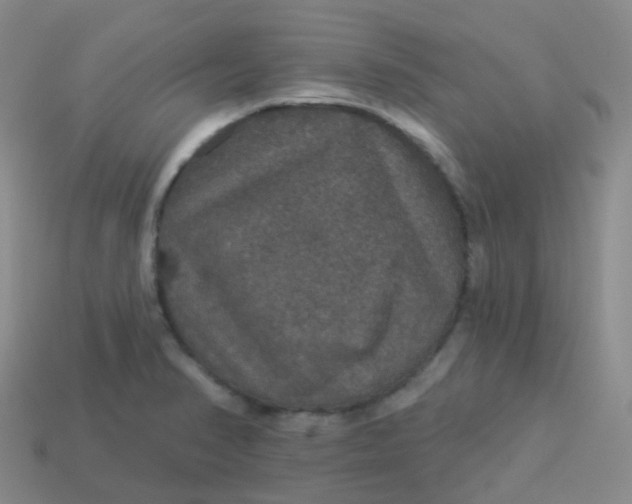 X0000113551374200910161425