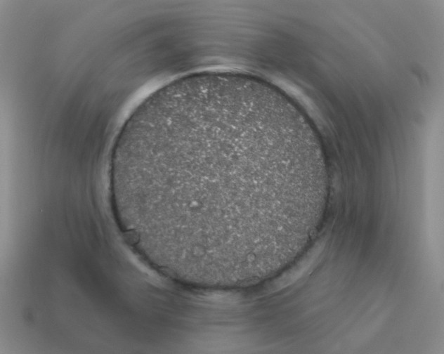X0000113551375200910161425
