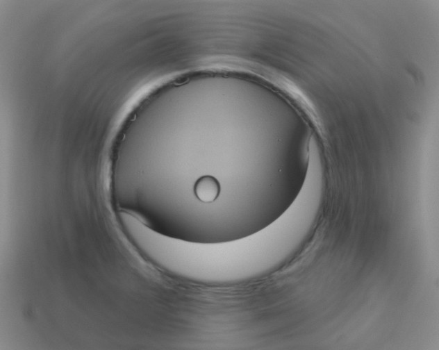 X0000113551376200910161425
