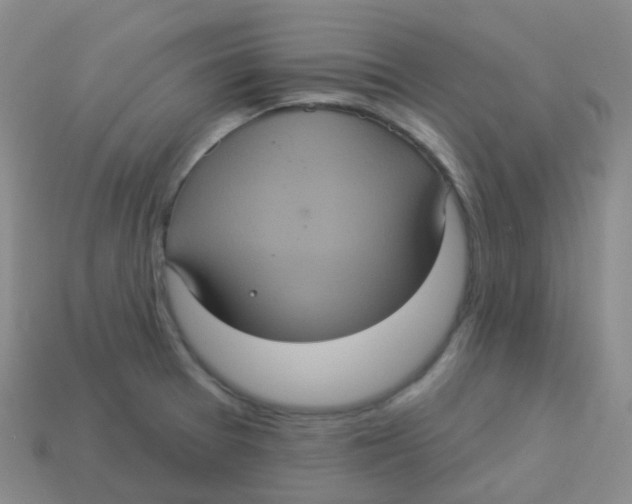 X0000113551377200910161425