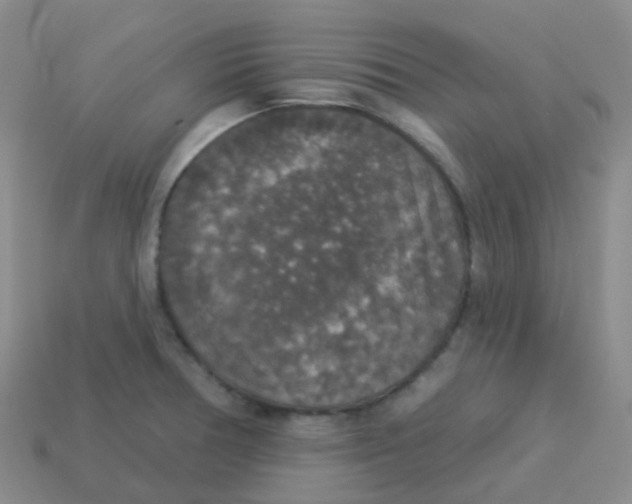 X0000113551378200910161425