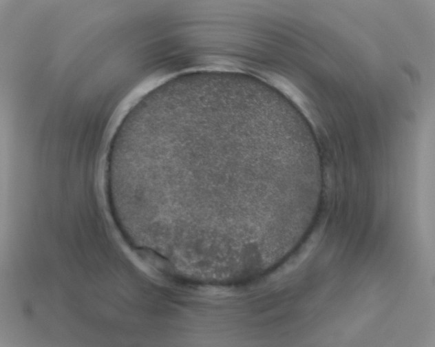 X0000113551379200910161425