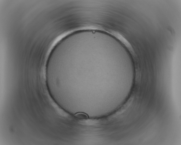 X0000113551380200910161425