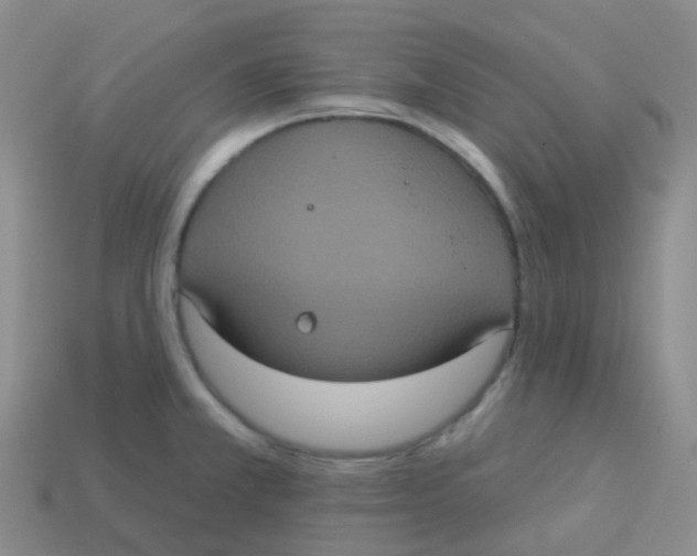 X0000113551381200910161425