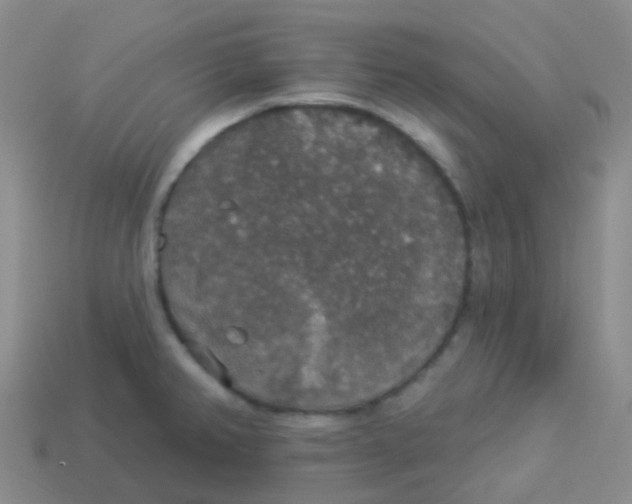X0000113551382200910161425