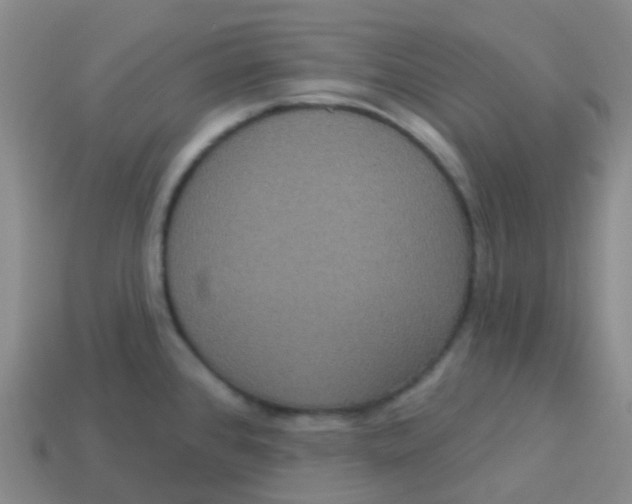X0000113551384200910161425
