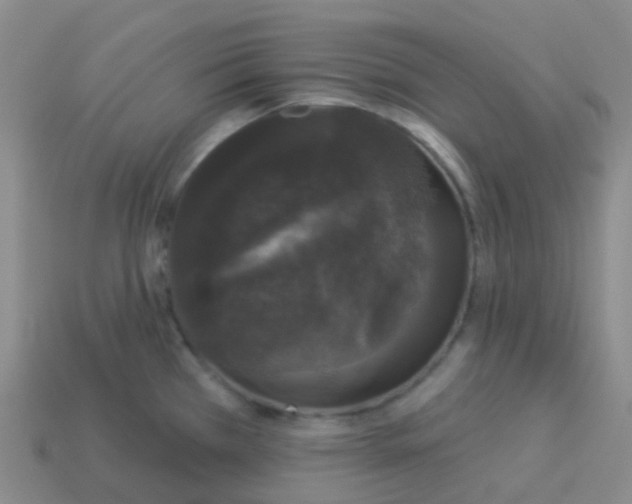 X0000113551385200910161425