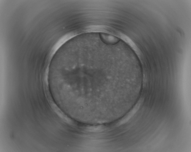 X0000113551386200910161425