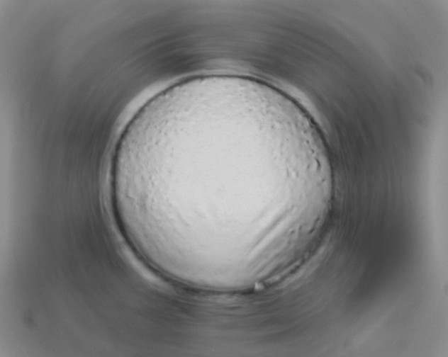 X0000113551387200910161425