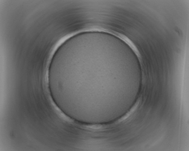 X0000113551388200910161425