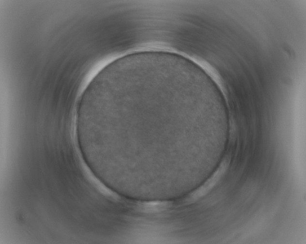 X0000113551390200910161425