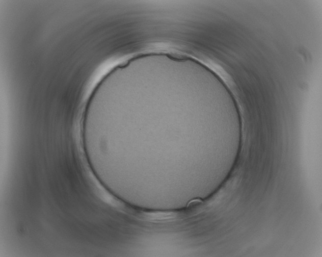 X0000113551392200910161424