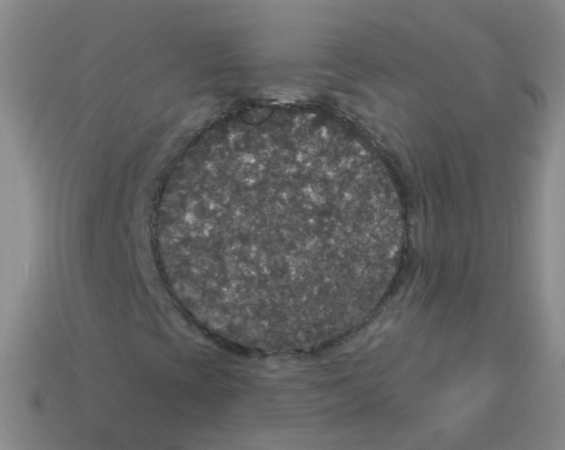 X0000113551393200910161424