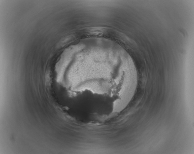 X0000113551394200910161424