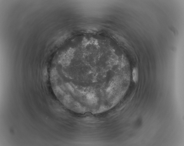 X0000113551395200910161424