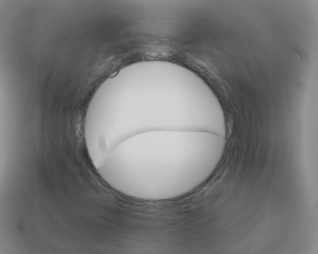 X0000113551396200910161424