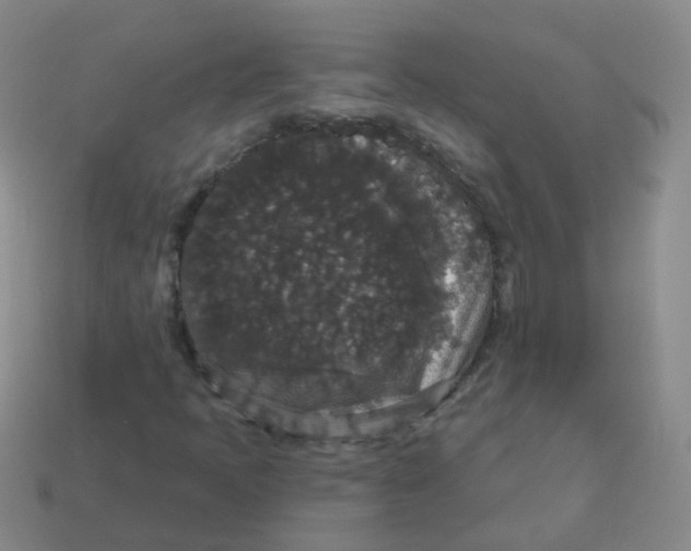 X0000113551397200910161424