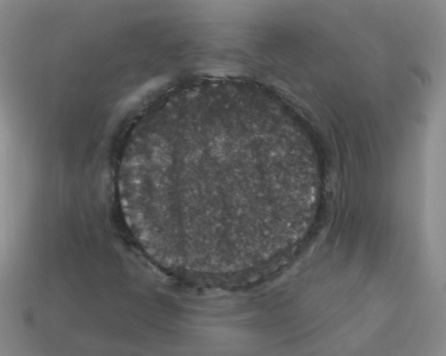 X0000113551398200910161424