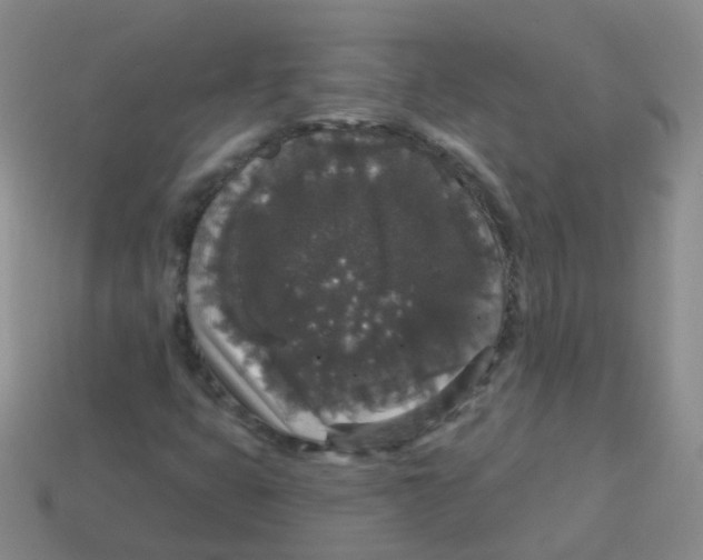X0000113551399200910161424