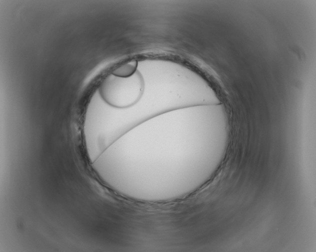 X0000113551400200910161424