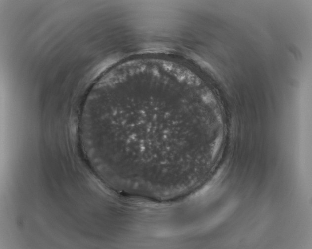 X0000113551401200910161424