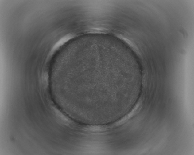 X0000113551402200910161424