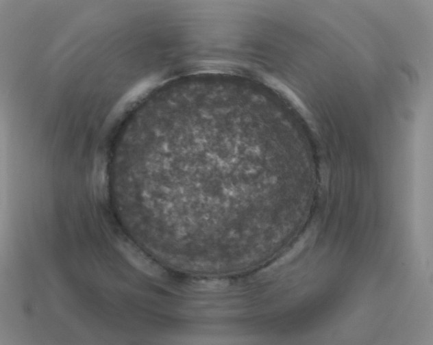X0000113551403200910161424