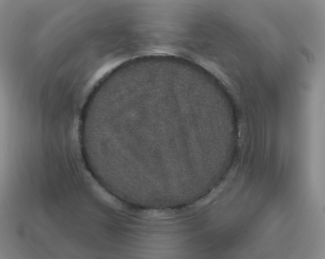X0000113551404200910161424