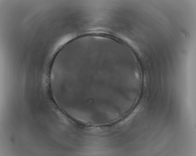 X0000113551405200910161424