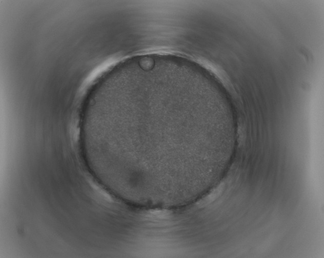 X0000113551406200910161424