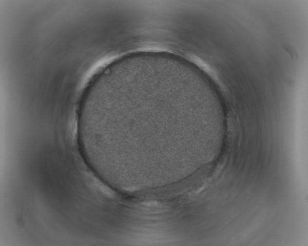 X0000113551408200910161424