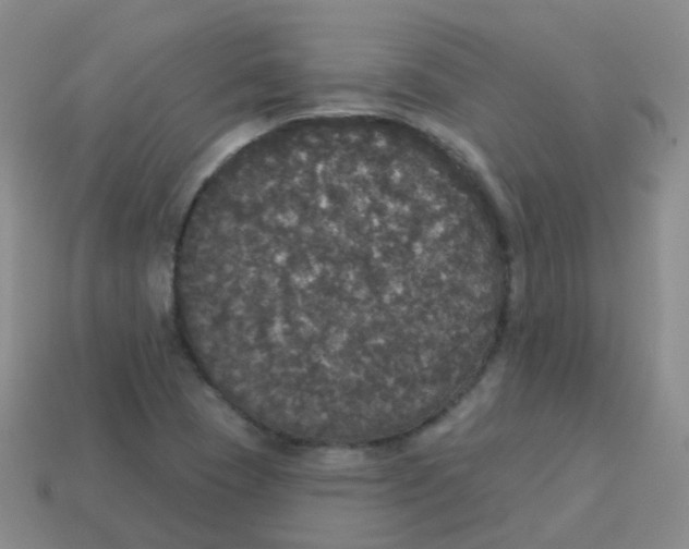 X0000113551409200910161424