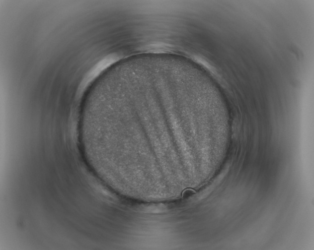 X0000113551410200910161424