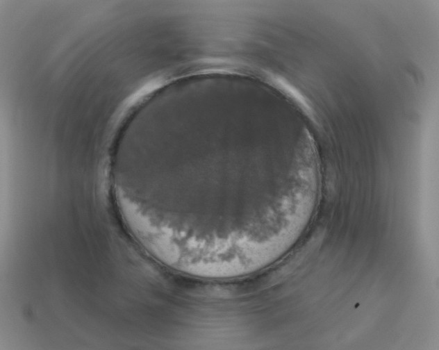 X0000113551411200910161424