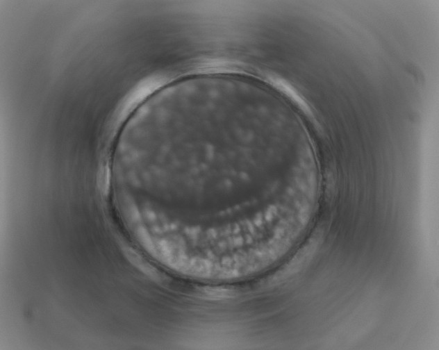 X0000113551413200910161424