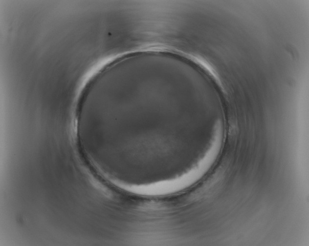 X0000113551414200910161424