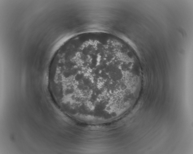 X0000113551415200910161424