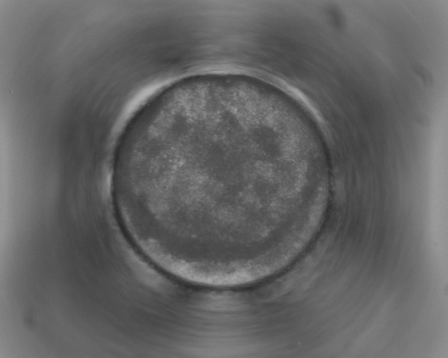 X0000113551416200910161424